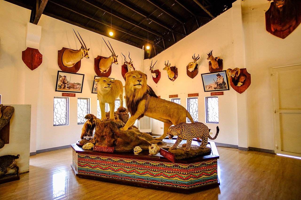 Gallery image 3